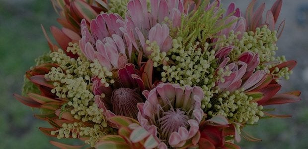 special-occasions-florist-melbourne-australia