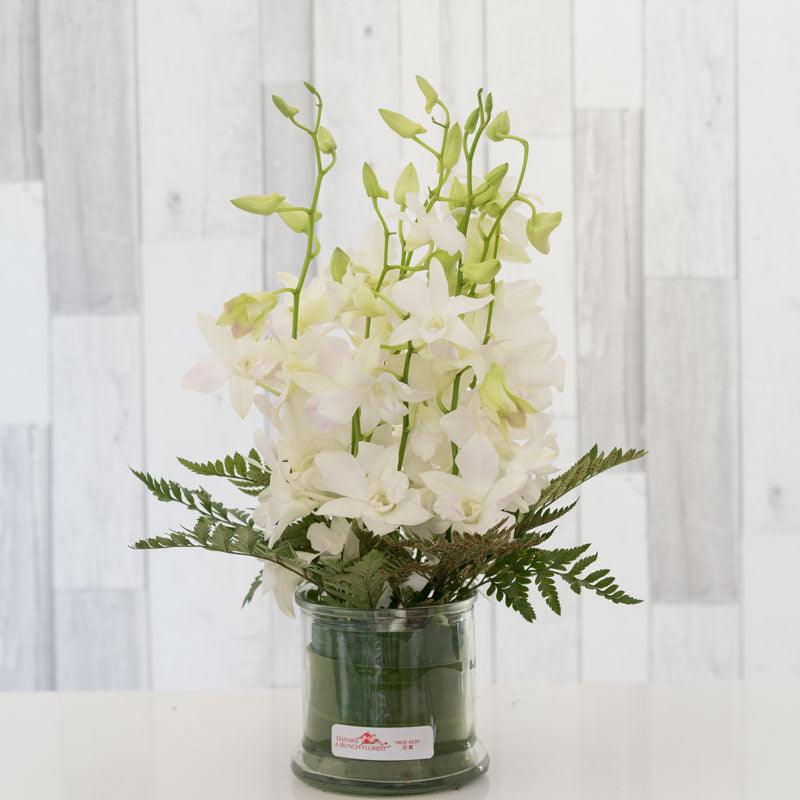 White orchid vase