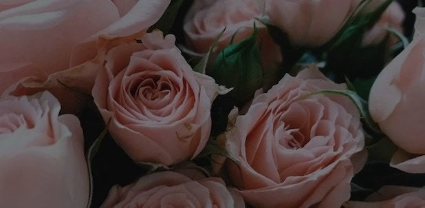 roses-florist-melbourne