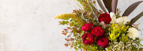 Order Now for Same Day Delivery