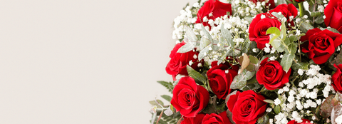 Order Now for Same Day Delivery