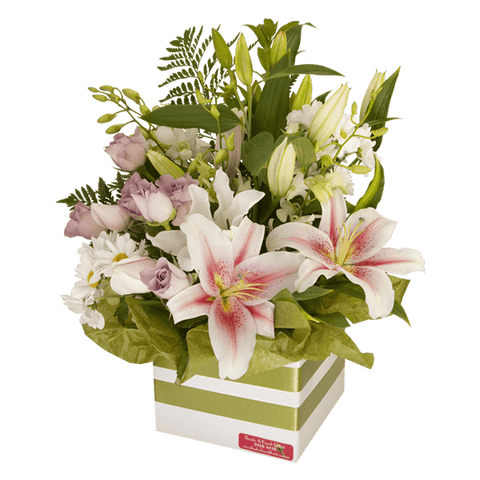 Pastel Lily Sympathy