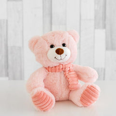 Pink Winter Teddy