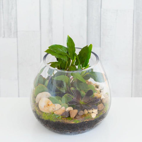 Seasonal Glass Terrarium